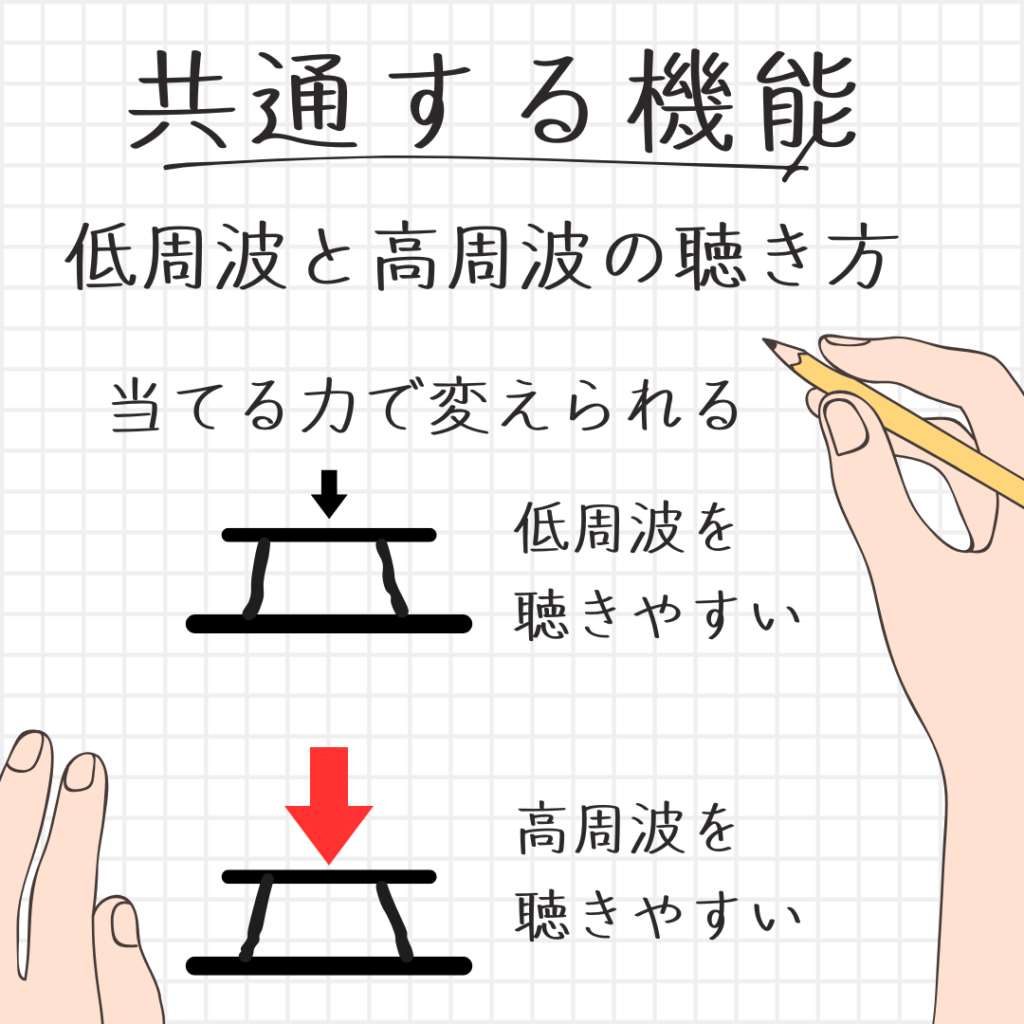 リットマンに共通する機能性